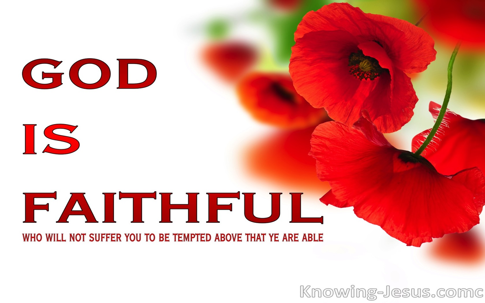 1 Corinthians 10:13 A Modern Day Appointed Place (devotional)01:15 (red)